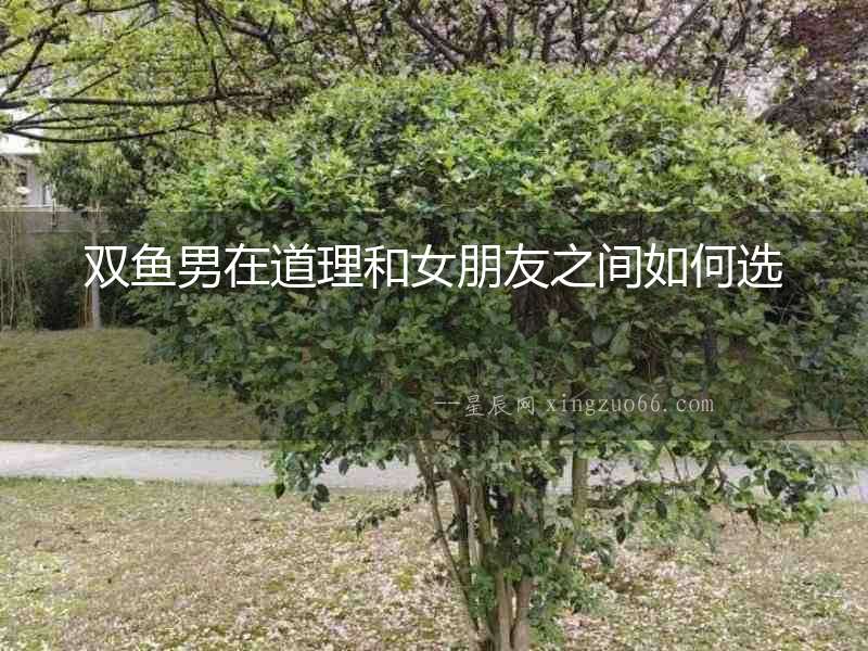 雙魚男在道理和女朋友之間如何選