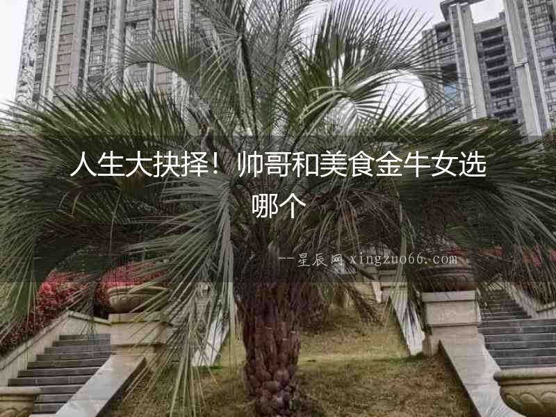 人生大抉擇！帥哥和美食金牛女選哪個