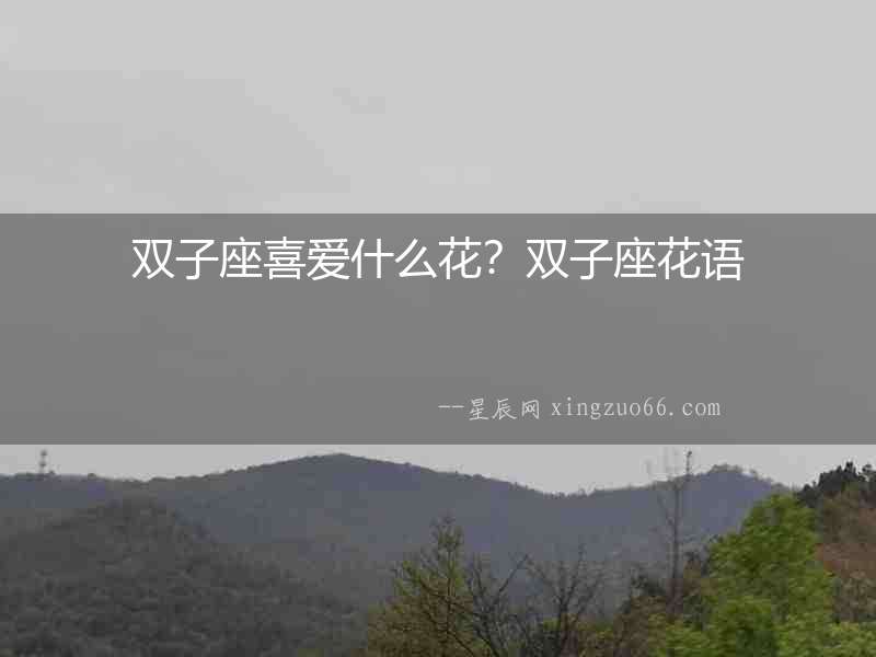 雙子座喜愛什么花？雙子座花語