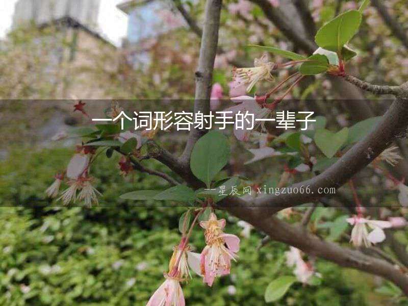 一個詞形容射手的一輩子
