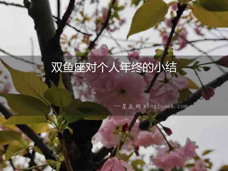 雙魚座對個人年終的小結