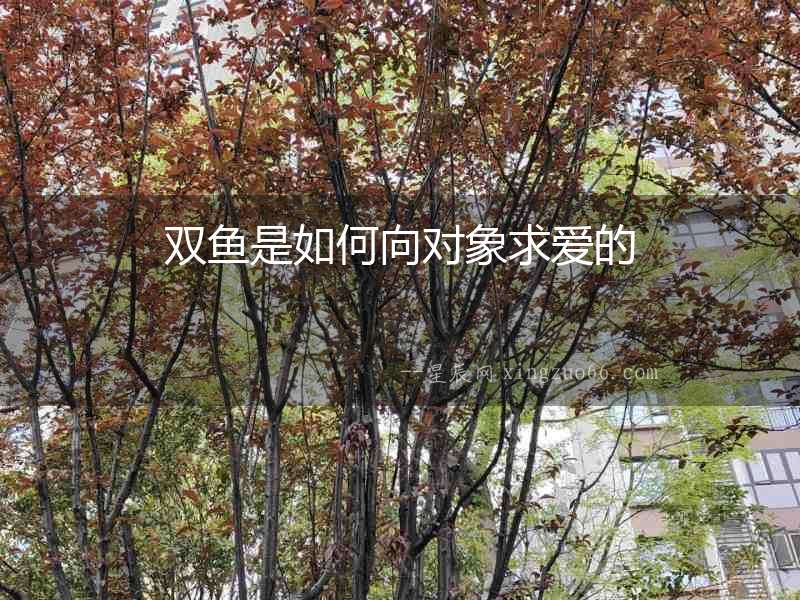 雙魚是如何向?qū)ο笄髳鄣? alt=