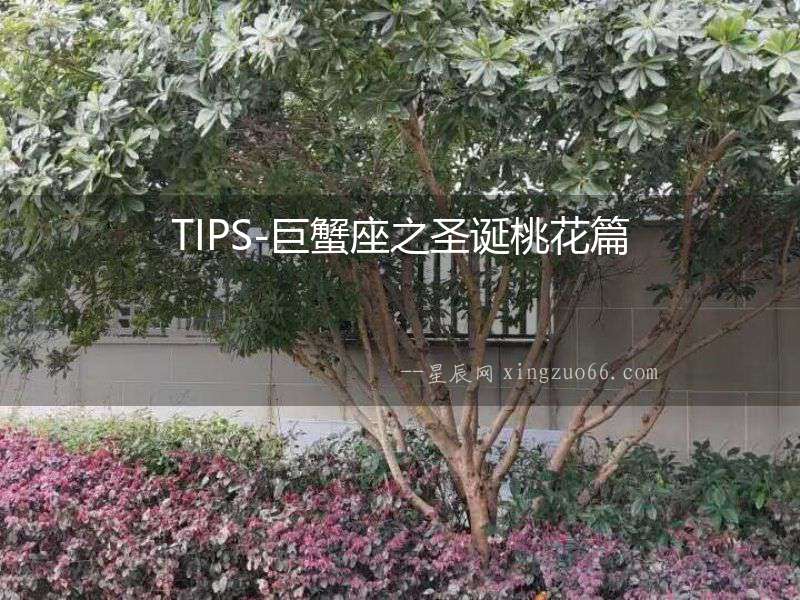 TIPS-巨蟹座之圣誕桃花篇