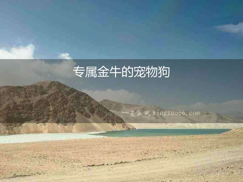 專屬金牛的寵物狗