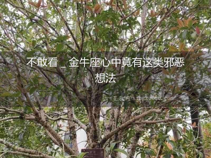 不敢看＿金牛座心中竟有這類邪惡想法
