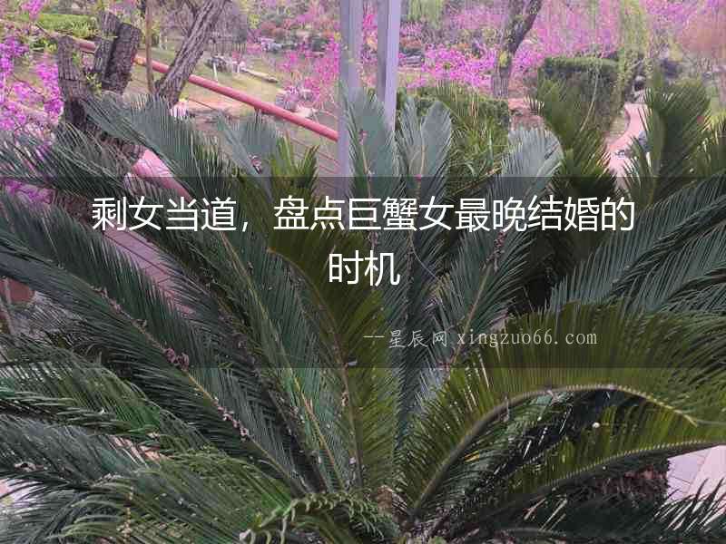 剩女當?shù)溃P點巨蟹女最晚結婚的時機