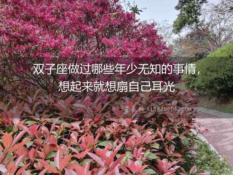 雙子座做過哪些年少無知的事情，想起來就想扇自己耳光