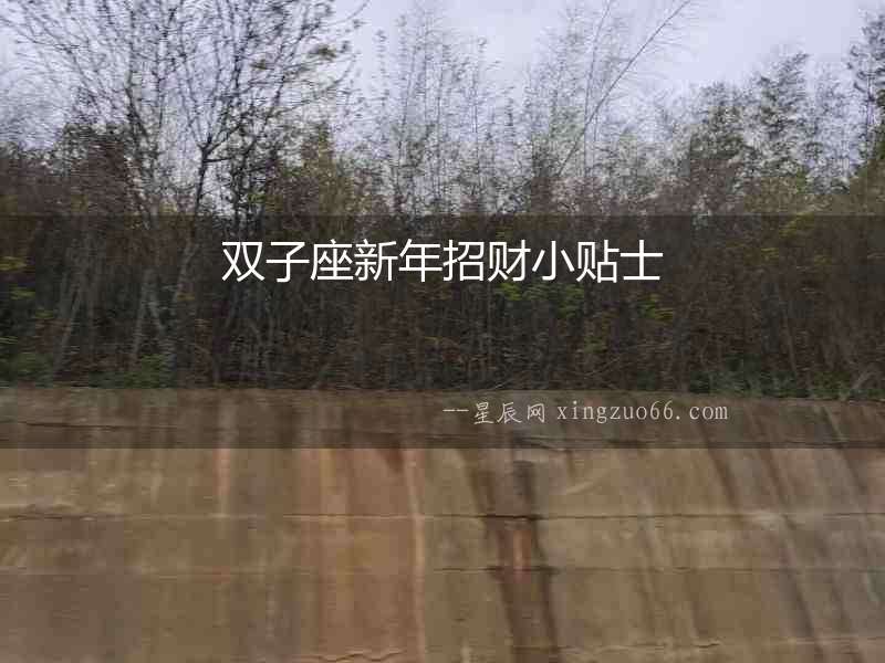 雙子座新年招財(cái)小貼士