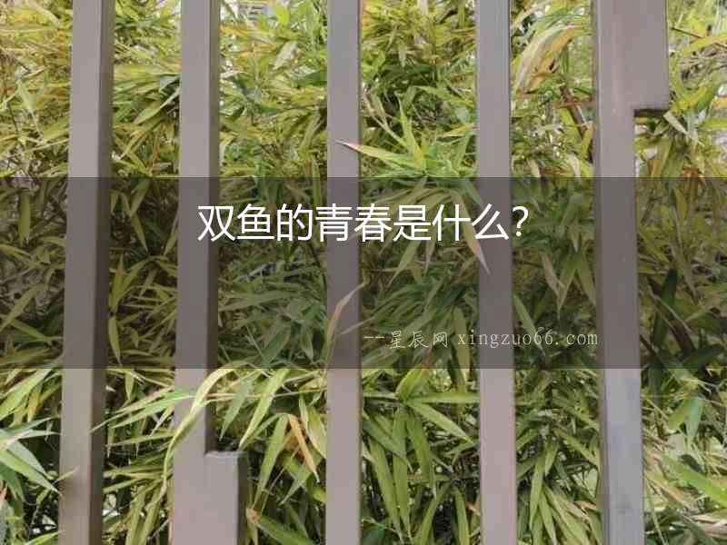 雙魚的青春是什么？