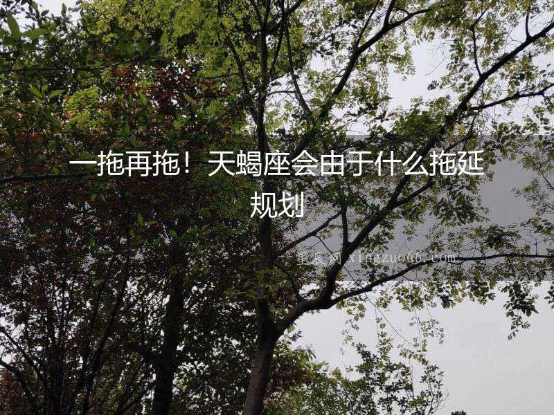一拖再拖！天蝎座會由于什么拖延規劃