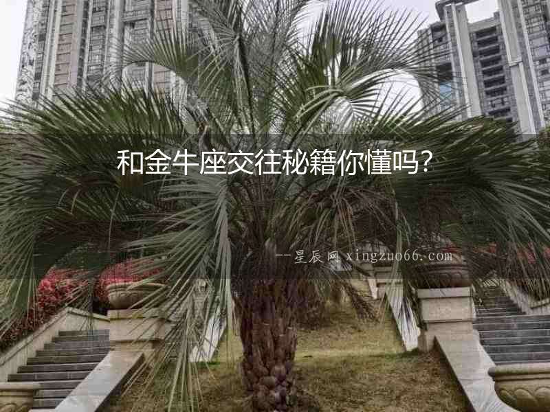 和金牛座交往秘籍你懂嗎？