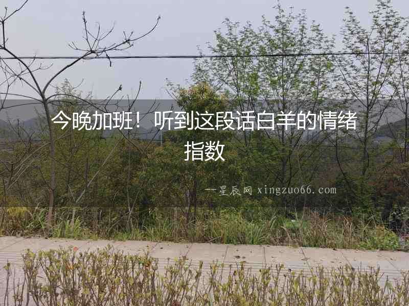 今晚加班！聽到這段話白羊的情緒指數(shù)