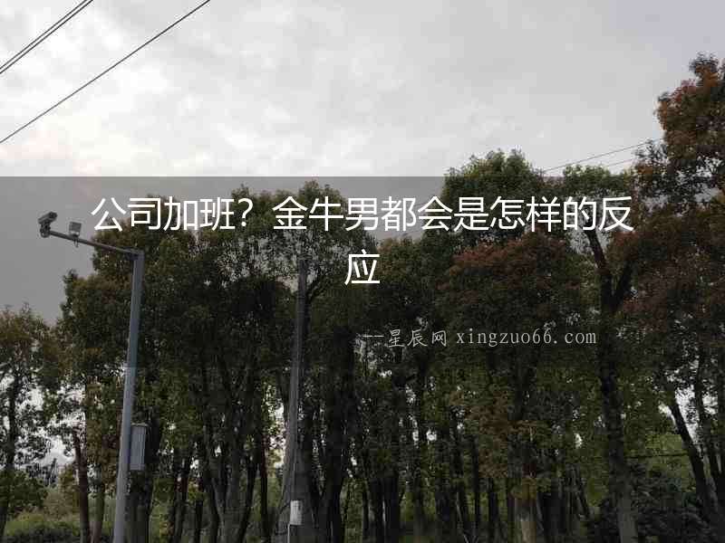 公司加班？金牛男都會是怎樣的反應