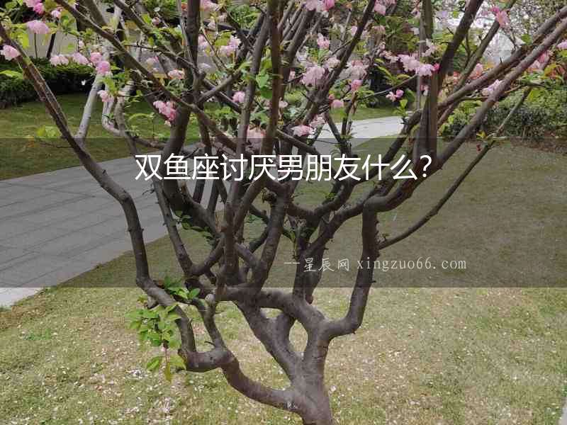 雙魚座討厭男朋友什么？