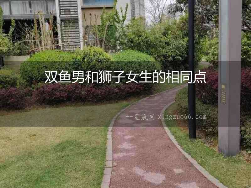 雙魚男和獅子女生的相同點