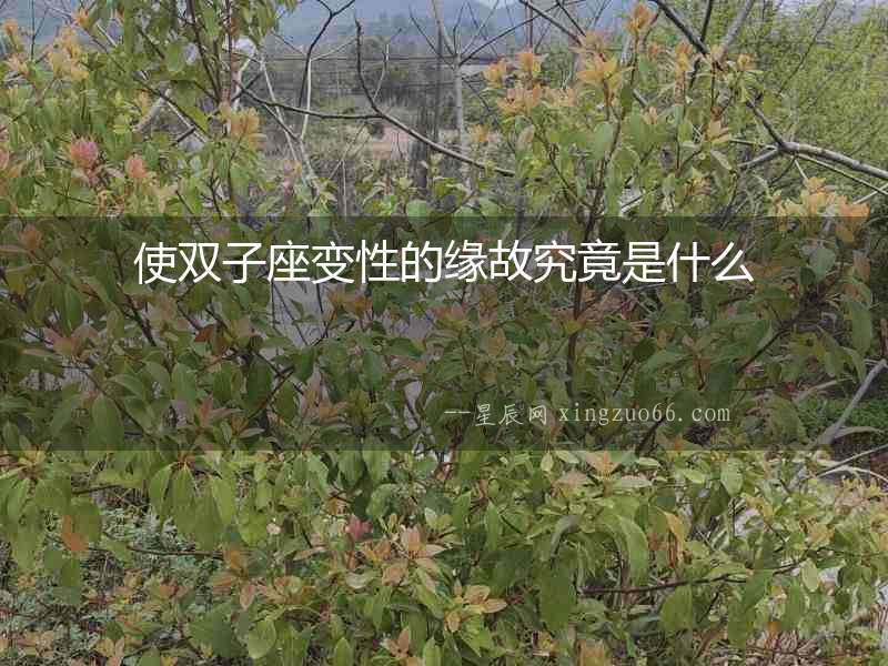 使雙子座變性的緣故究竟是什么