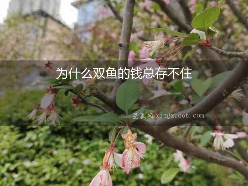 為什么雙魚的錢總存不住