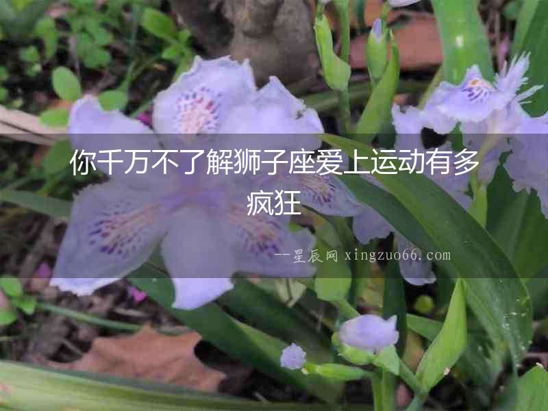 你千萬不了解獅子座愛上運動有多瘋狂