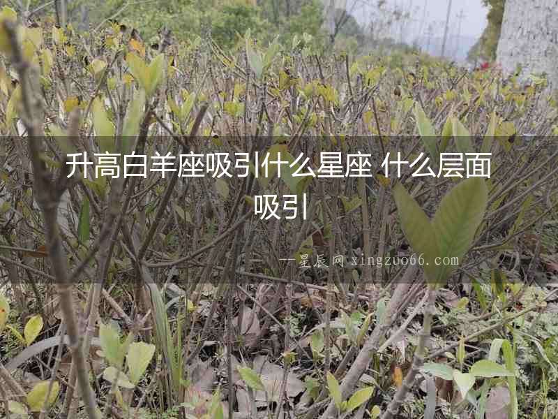 升高白羊座吸引什么星座 什么層面吸引