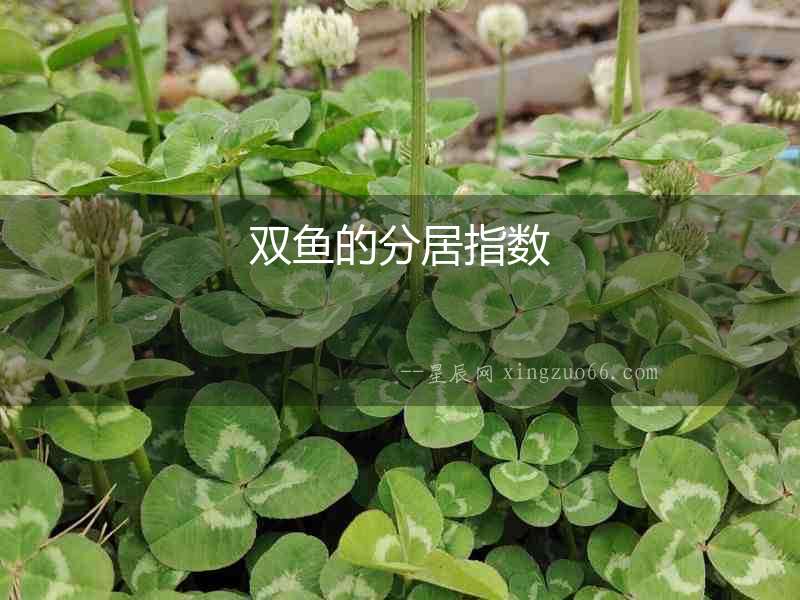 雙魚的分居指數