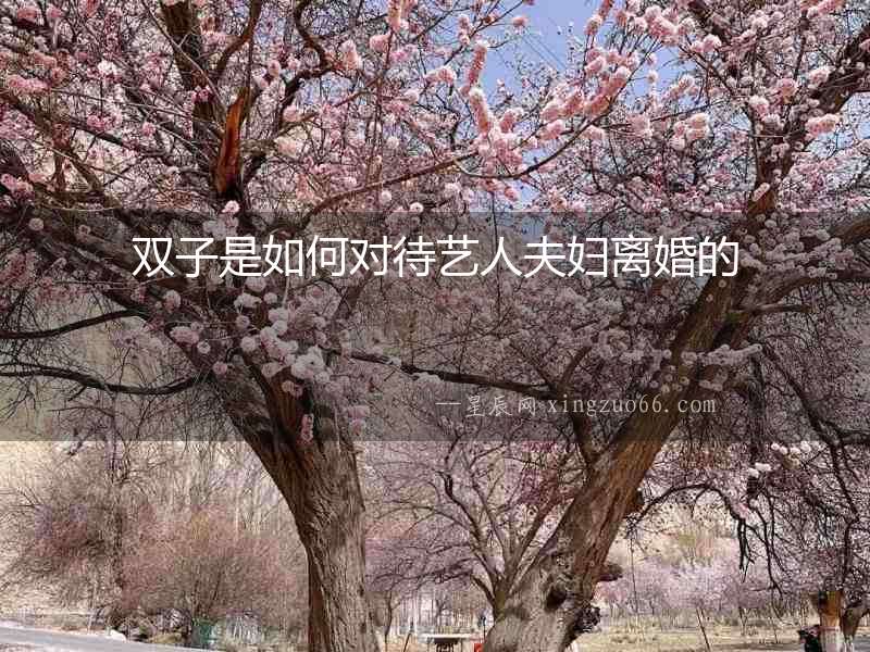 雙子是如何對待藝人夫婦離婚的
