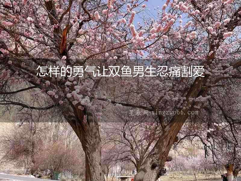 怎樣的勇氣讓雙魚男生忍痛割愛