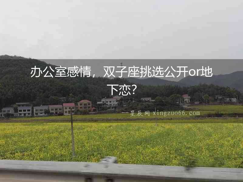 辦公室感情，雙子座挑選公開or地下戀？