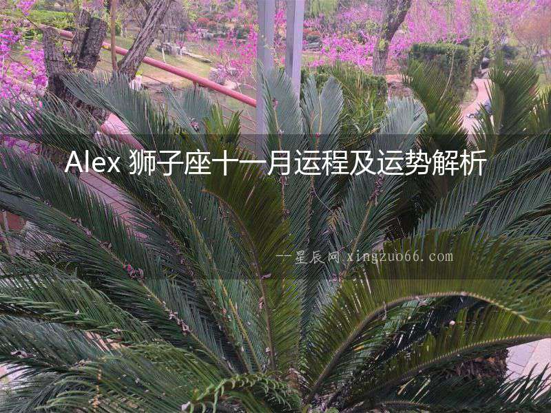 Alex 獅子座十一月運(yùn)程及運(yùn)勢解析