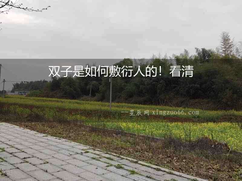 雙子是如何敷衍人的！看清