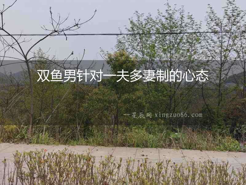 雙魚男針對一夫多妻制的心態(tài)