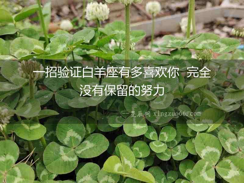 一招驗證白羊座有多喜歡你  完全沒有保留的努力