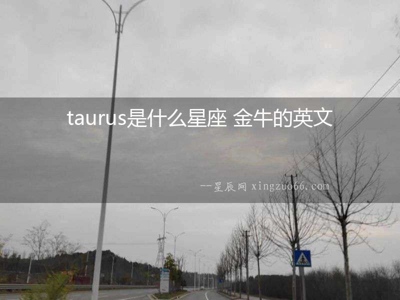 taurus是什么星座 金牛的英文