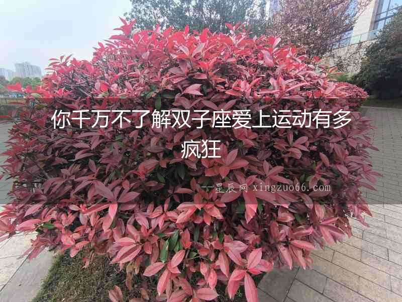 你千萬不了解雙子座愛上運動有多瘋狂