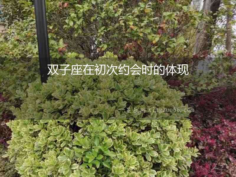 雙子座在初次約會時的體現(xiàn)
