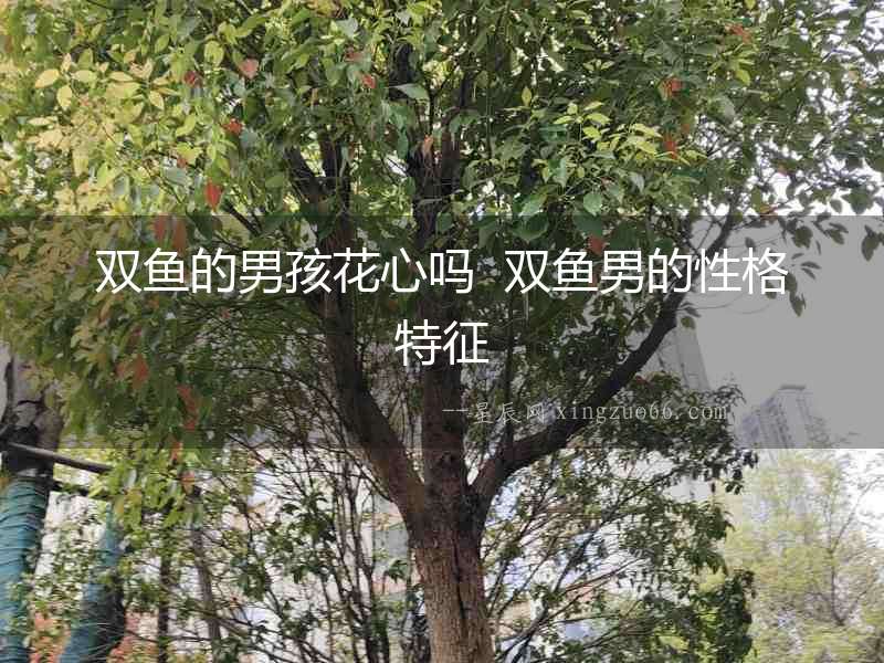 雙魚的男孩花心嗎  雙魚男的性格特征