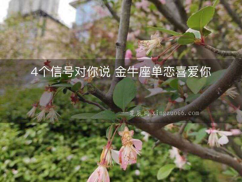4個信號對你說 金牛座單戀喜愛你