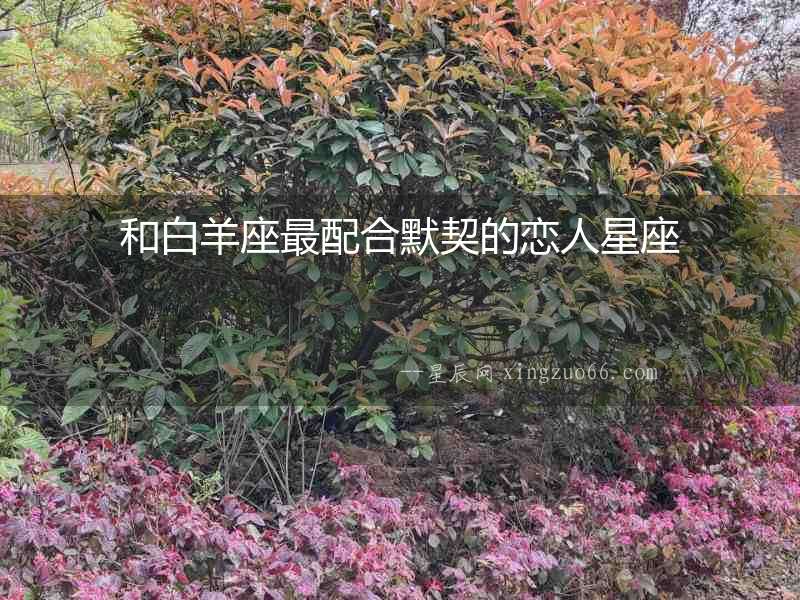 和白羊座最配合默契的戀人星座