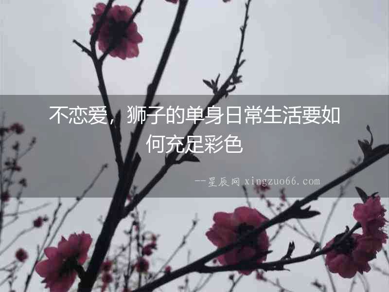 不戀愛，獅子的單身日常生活要如何充足彩色