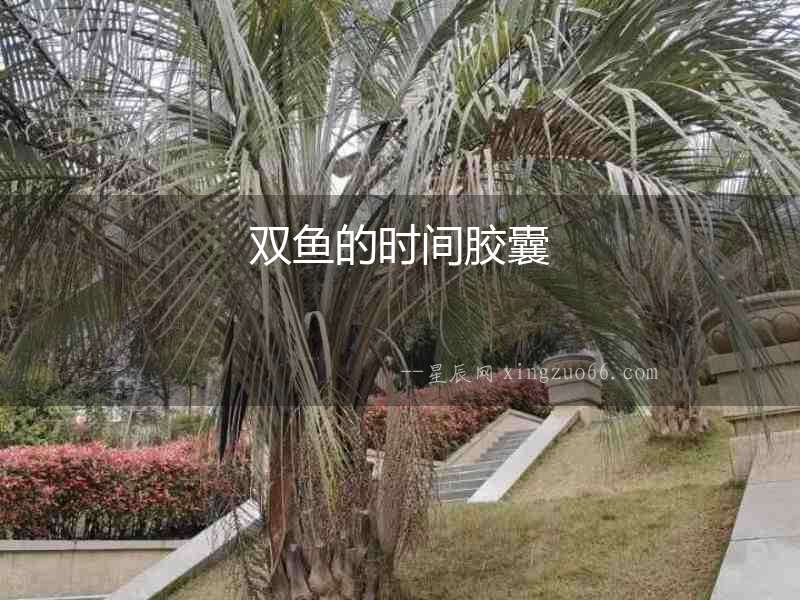 雙魚的時間膠囊