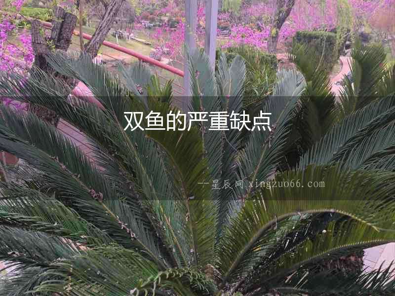 雙魚(yú)的嚴(yán)重缺點(diǎn)