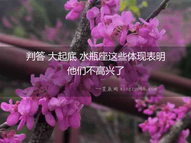 判答 大起底 水瓶座這些體現表明他們不高興了