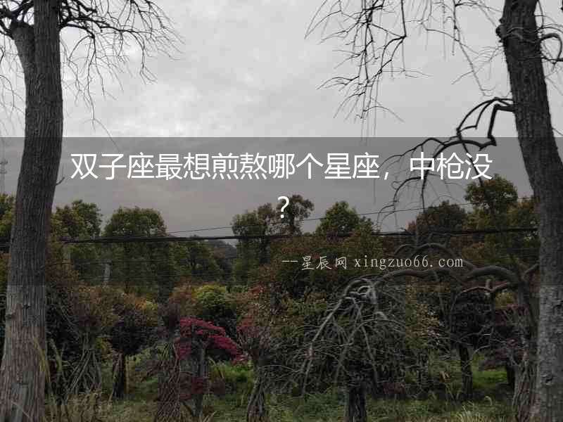 雙子座最想煎熬哪個星座，中槍沒？