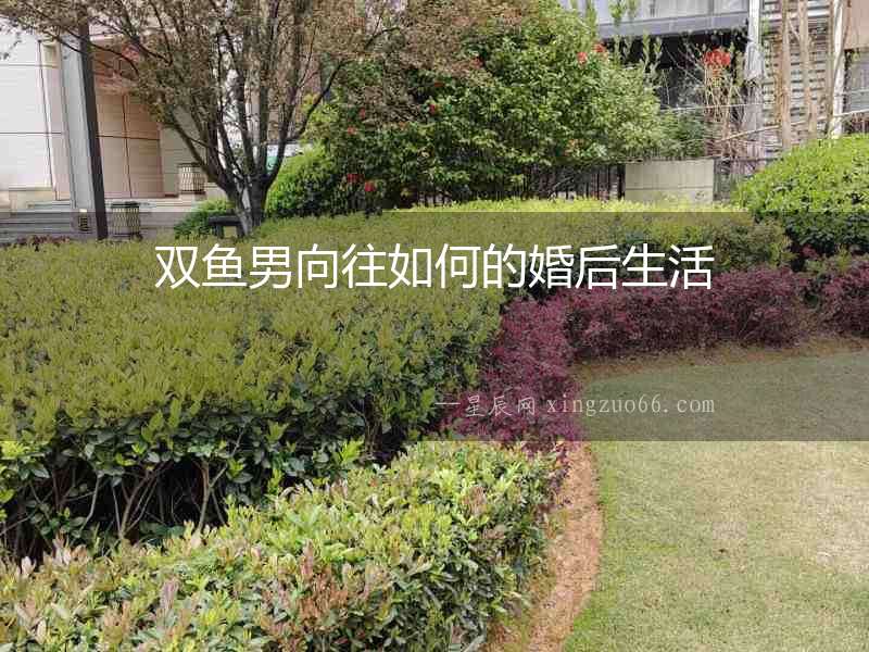 雙魚男向往如何的婚后生活
