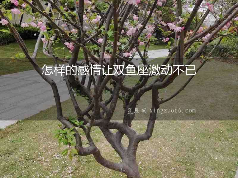 怎樣的感情讓雙魚座激動不已