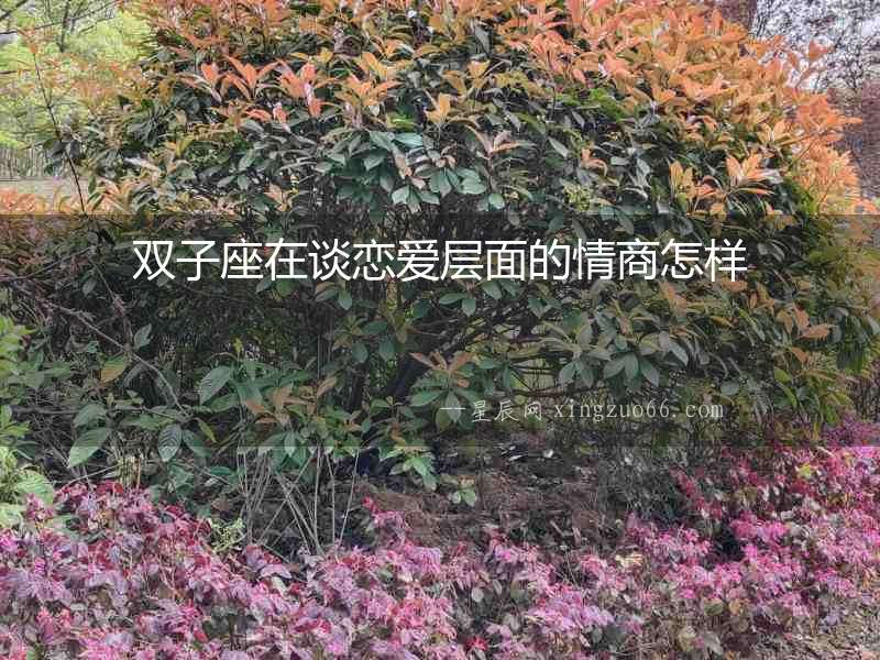 雙子座在談戀愛層面的情商怎樣