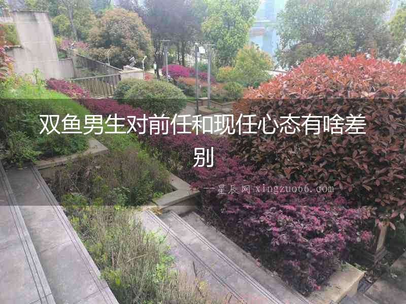 雙魚男生對前任和現任心態有啥差別