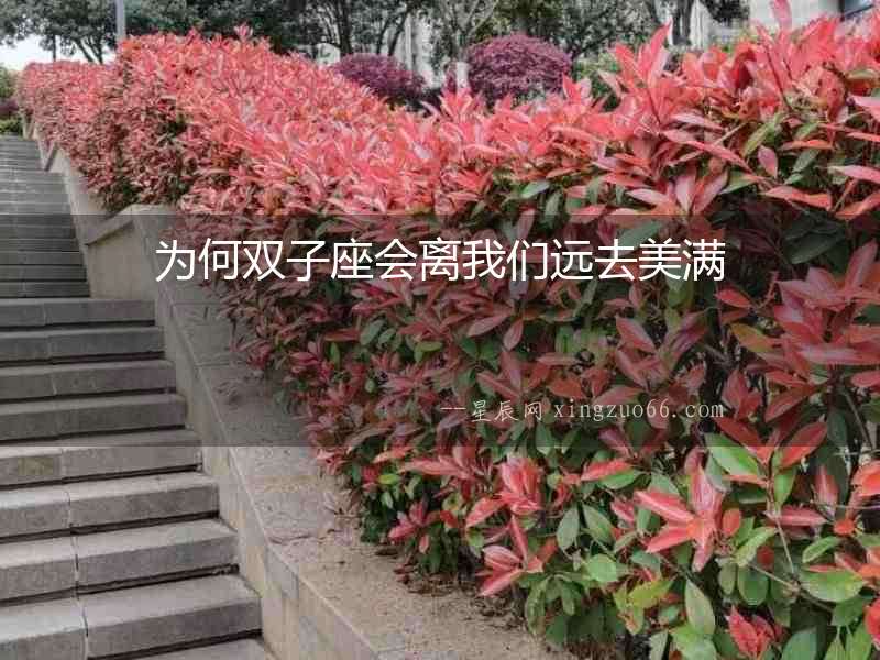 為何雙子座會離我們遠去美滿