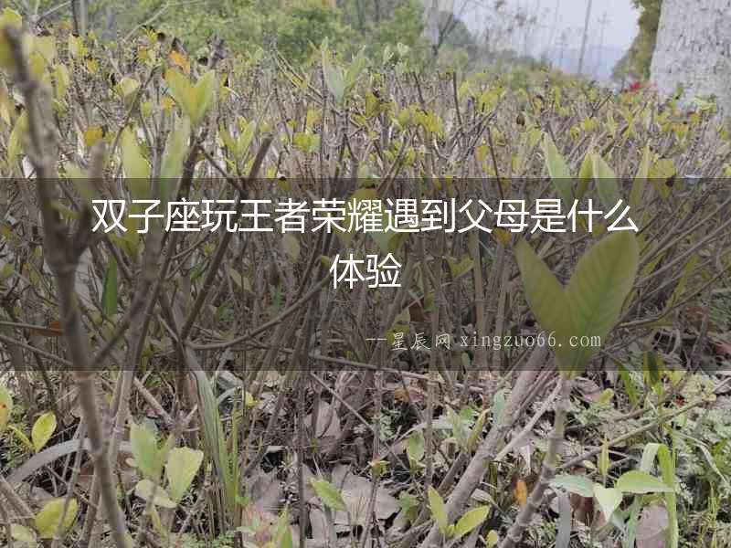 雙子座玩王者榮耀遇到父母是什么體驗(yàn)
