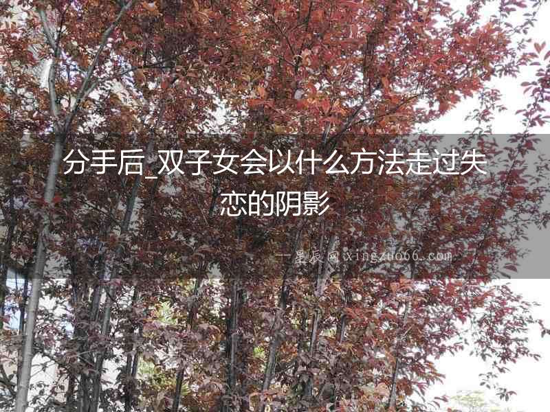 分手后_雙子女會以什么方法走過失戀的陰影