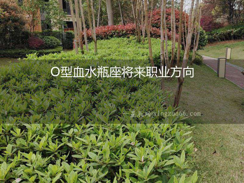 O型血水瓶座將來職業(yè)方向